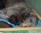 Un bel posto dove dormire / A lovely place to sleep