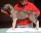 maschio verde a 10 settimane / male green 10 weeks old
