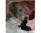 un bacio al neonato / a kiss to the new-born puppy