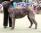 Bettina a 20 mesi / 20 monthsold