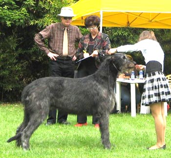 Scheda2011.jpg