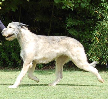 Scheda05-2007.jpg