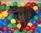 Vuoi giocare con me?/Do you want play with me?