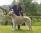 Miss Moppet a 5 anni / 5 years old