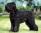 Belinda a 5 anni / 5 years old
